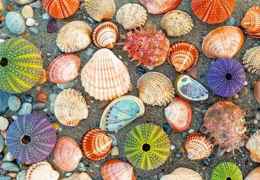 Ravensburger - Jigsaw Puzzle Puzzle Moments: By the Seashore - 300 Pieces Puzzle