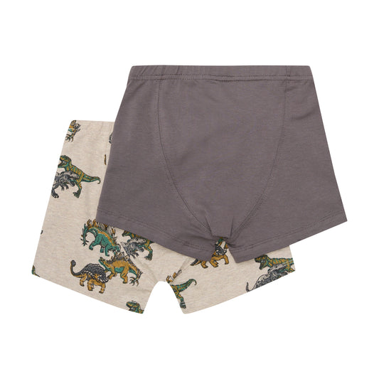 Minymo Boy's Briefs Underwear Dinosaur 2 pack