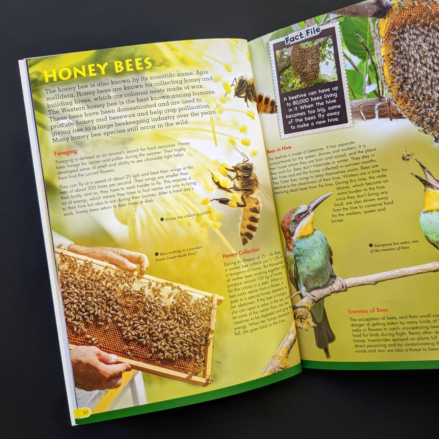 Robert Frederick - World Of Discovery Box Set - Bees