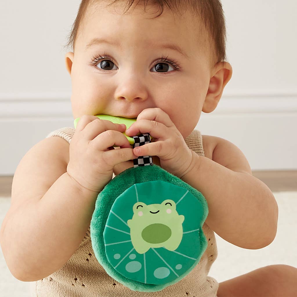 Itzy Ritzy - Sweetie Crinkle: Frog Silicon Teether