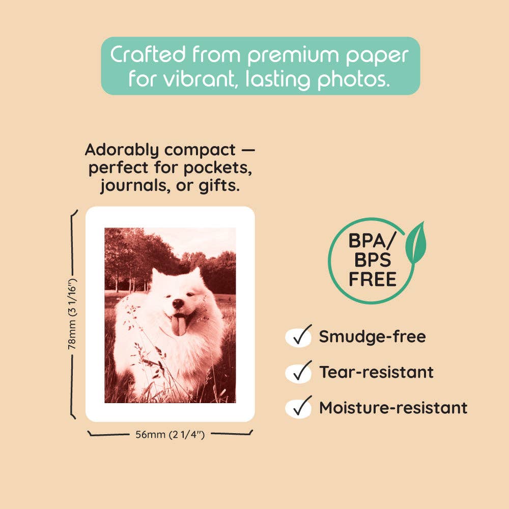 kiimento  - Print Pack 40 Prints | For Model P2