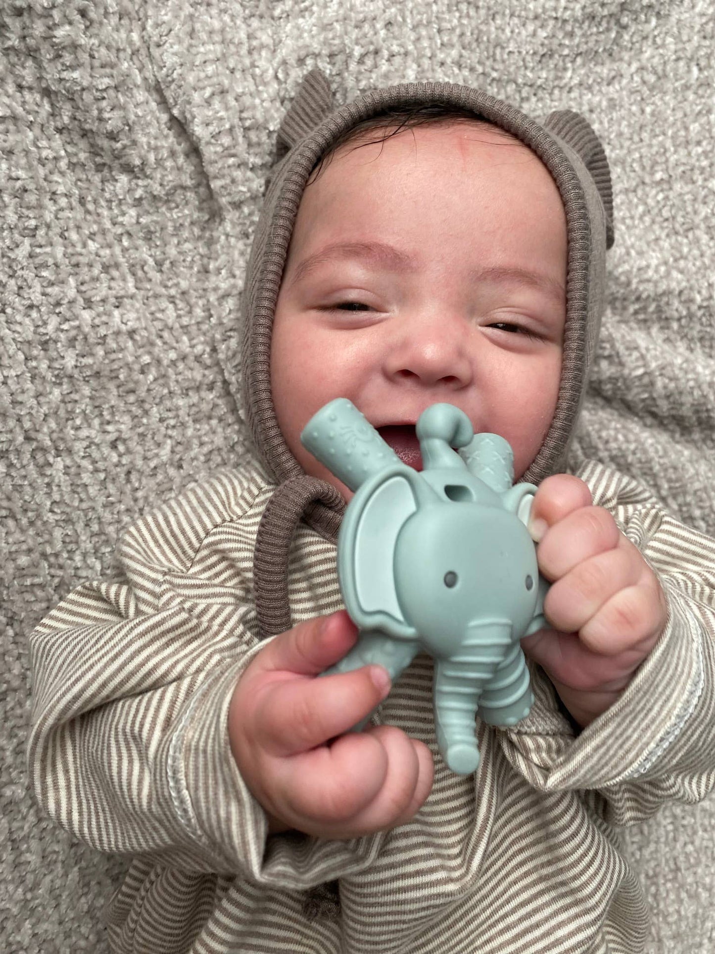 Itzy Ritzy - Ritzy Teether Baby Molar Teether: Lion