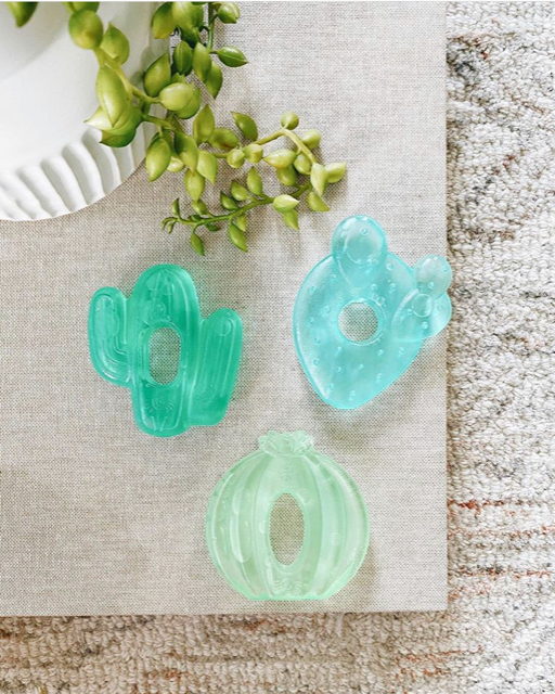 Baby toy 3 cactus 1