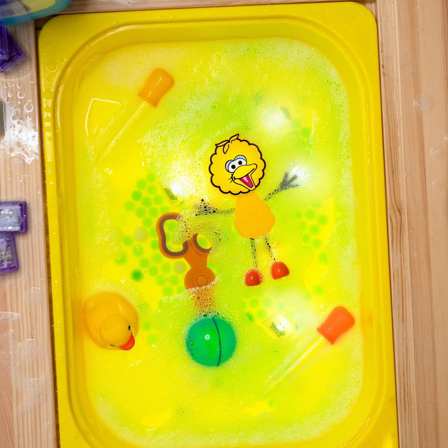 Glo Pals- Sesame Street - Big Bird Character