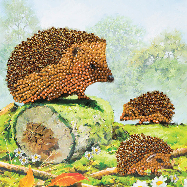 Craft Buddy - CA Card Kit: Happy Hedgehogs