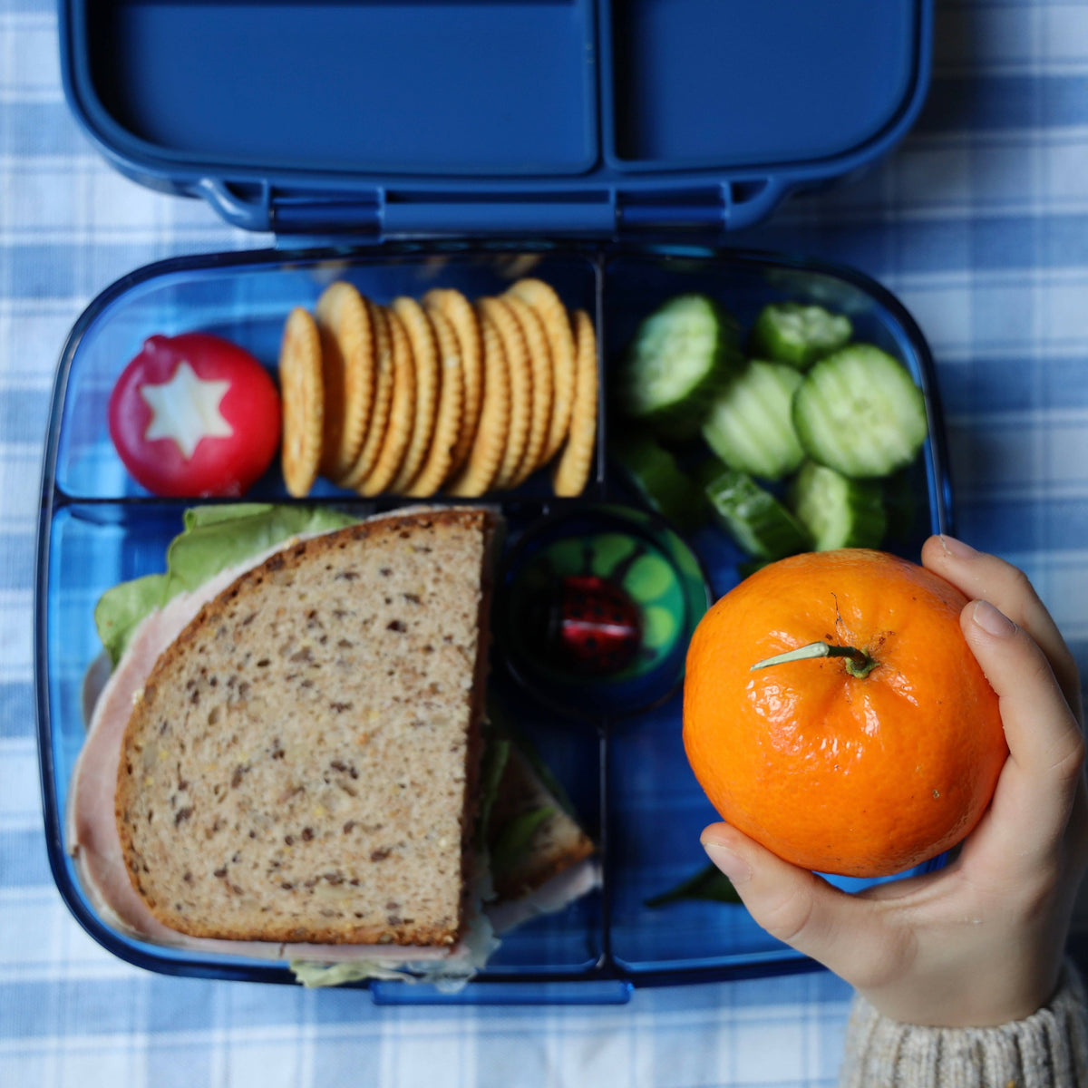 Yumbox - Yumbox Go Leakproof Bento Lunch Box – 5 Compartment, 5.6 Cup