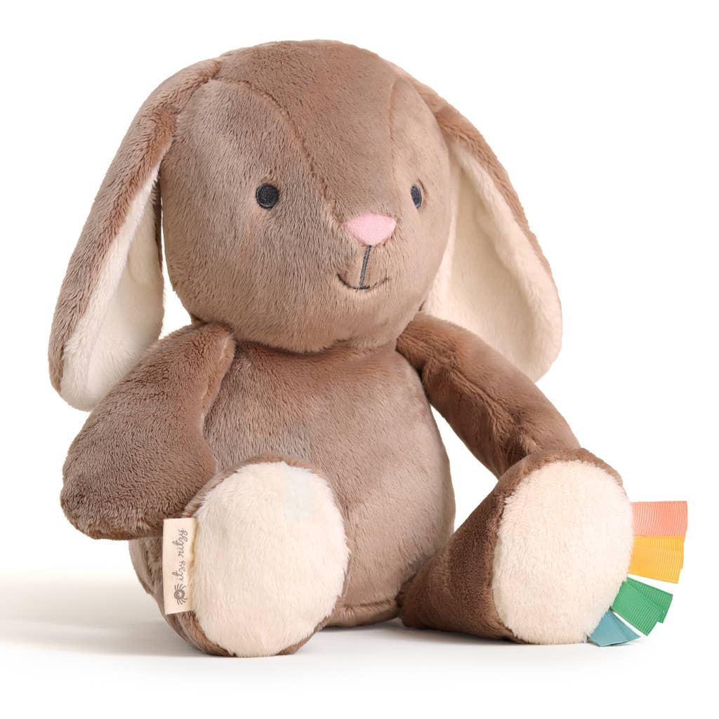 Itzy Ritzy - Sweetie Snuggles Plush: Strawberry