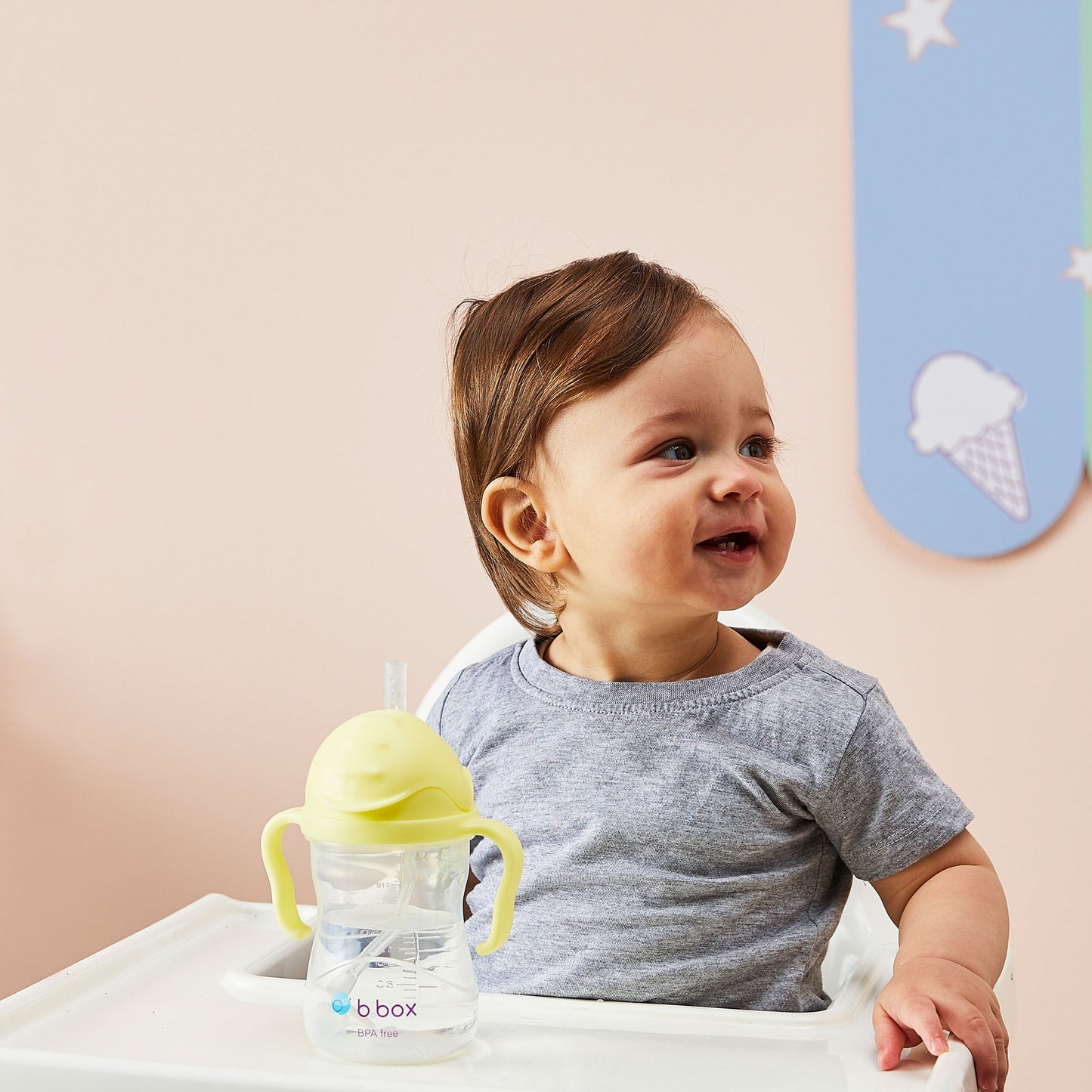 B.Box - Sippy Straw Cup 240ml
