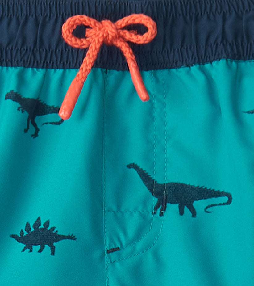 Hatley - Swim Trunks